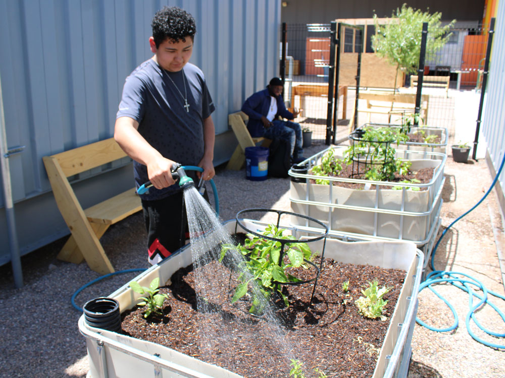 Decorative photo of a student watering plants in raised garden beds on campus
